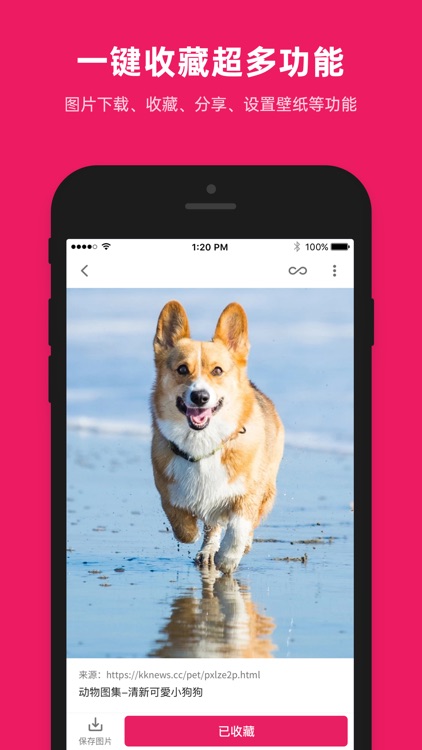 图片搜搜 - 任性的图片搜索神器