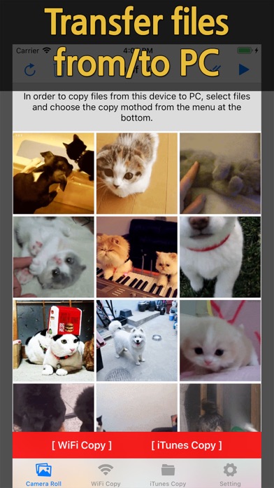Screenshot #1 pour QuickToss - Copy files to PC
