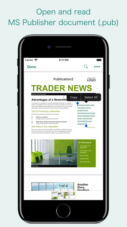 PUB Reader - for MS Publisher