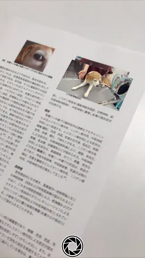 ﾌｧｰﾑﾌﾟﾚｽ99 screenshot 3