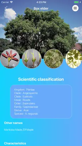 Game screenshot Deciduous Trees 2.0 apk