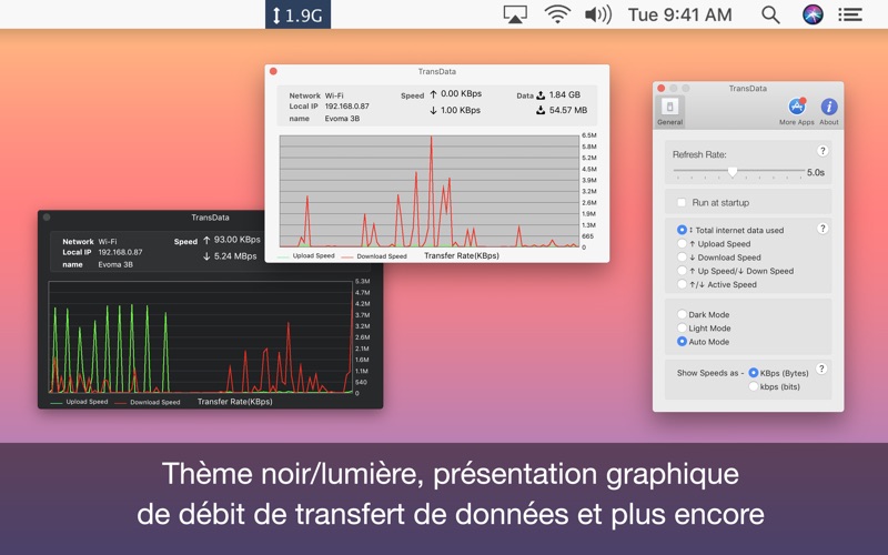 Screenshot #3 pour TransData Track Internet Usage