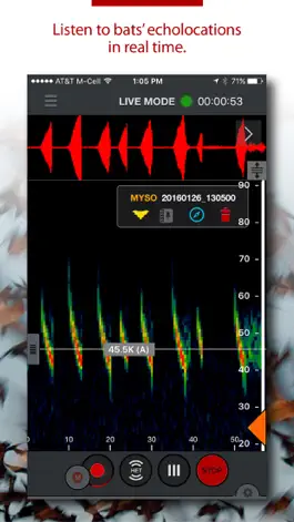 Game screenshot Echo Meter Touch Bat Detector apk