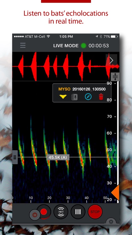 Echo Meter Touch Bat Detector