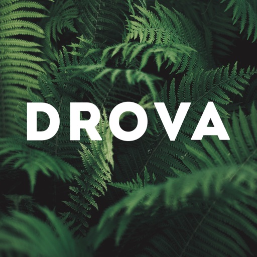 Drova — Гастробар Дрова