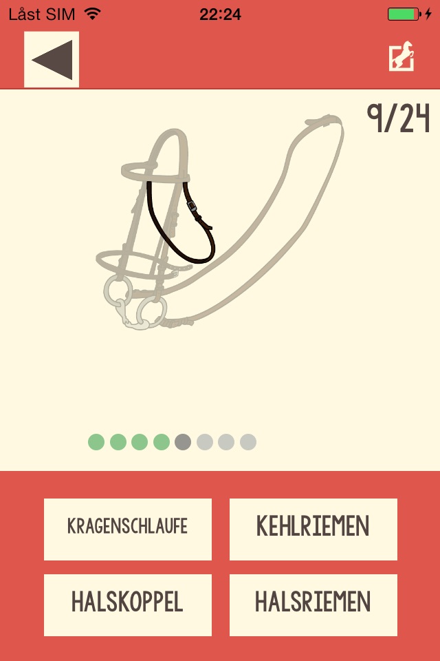 Hästkunskap screenshot 3