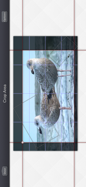 ‎Video Crop & Zoom - HD Screenshot