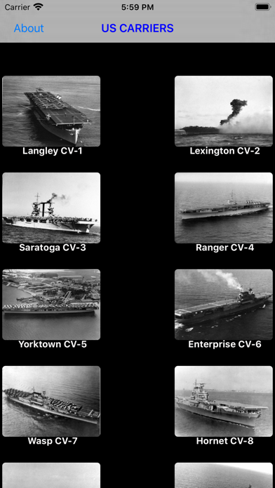 US Navy Aircraft Carriers Screenshot