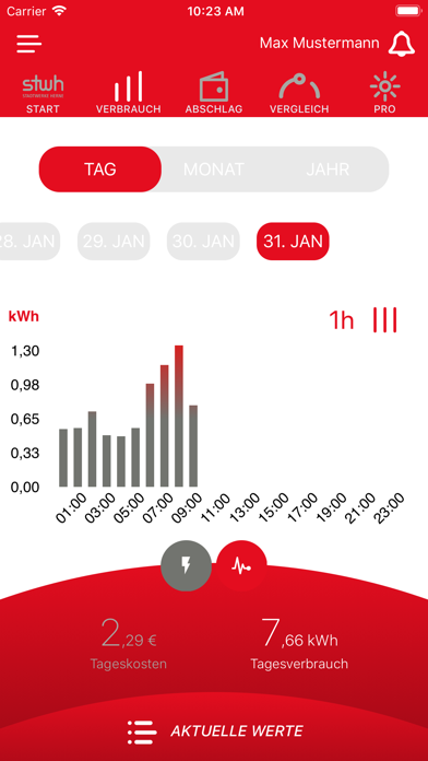 Stadtwerke Energiecheck Screenshot