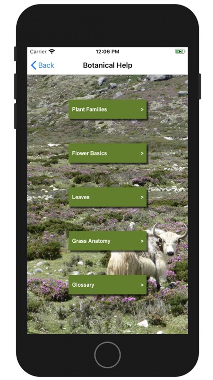 Wildflowers of Mount Everest screenshot-8