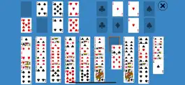 Game screenshot Solitaire FreeCell Two Decks hack