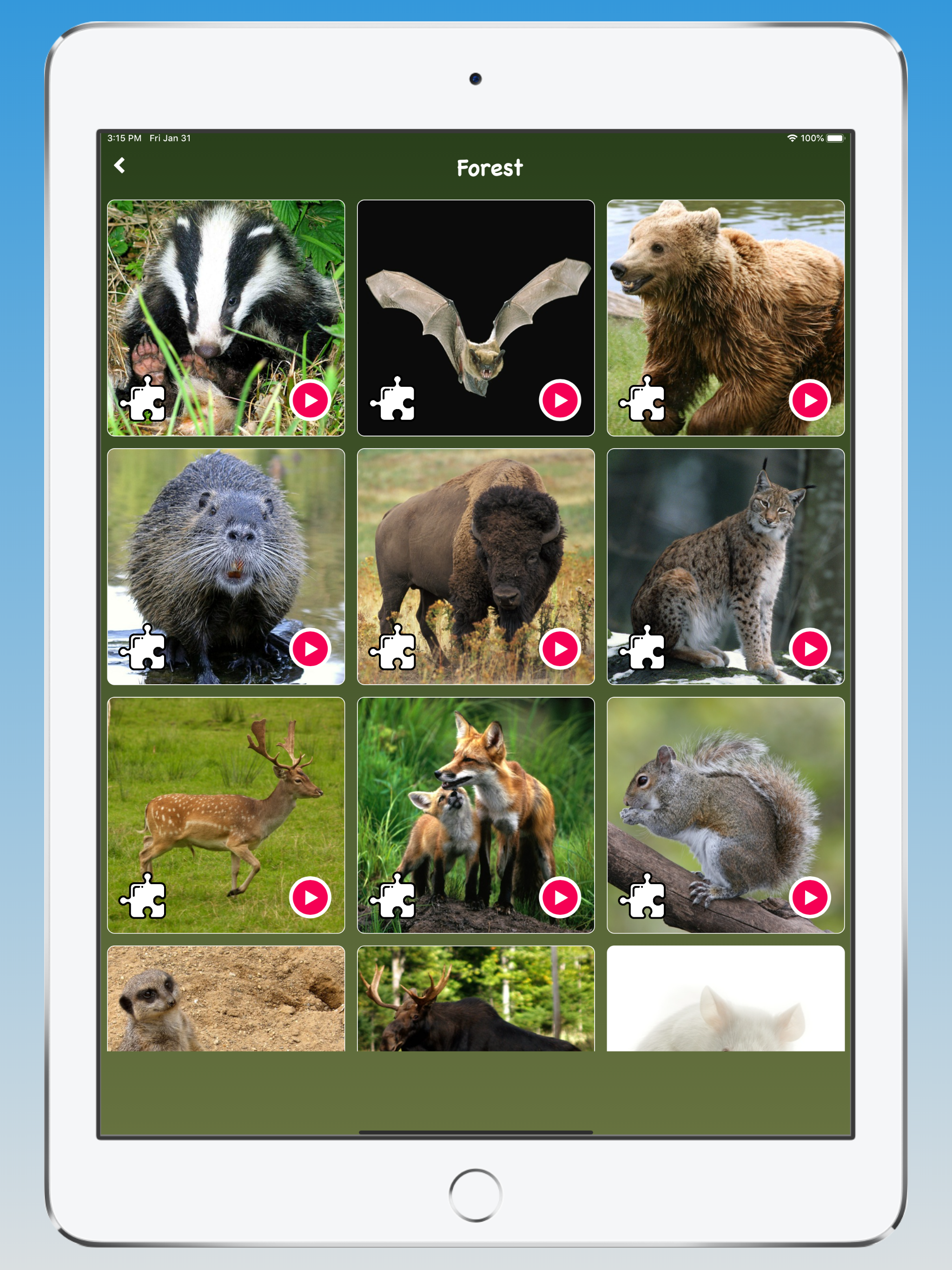 Animal Sounds, Animal Language