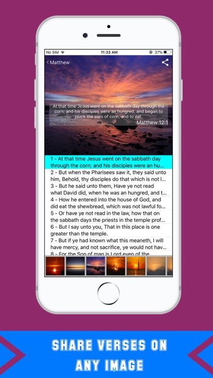 KJV Dramatized -King James Pro screenshot-5
