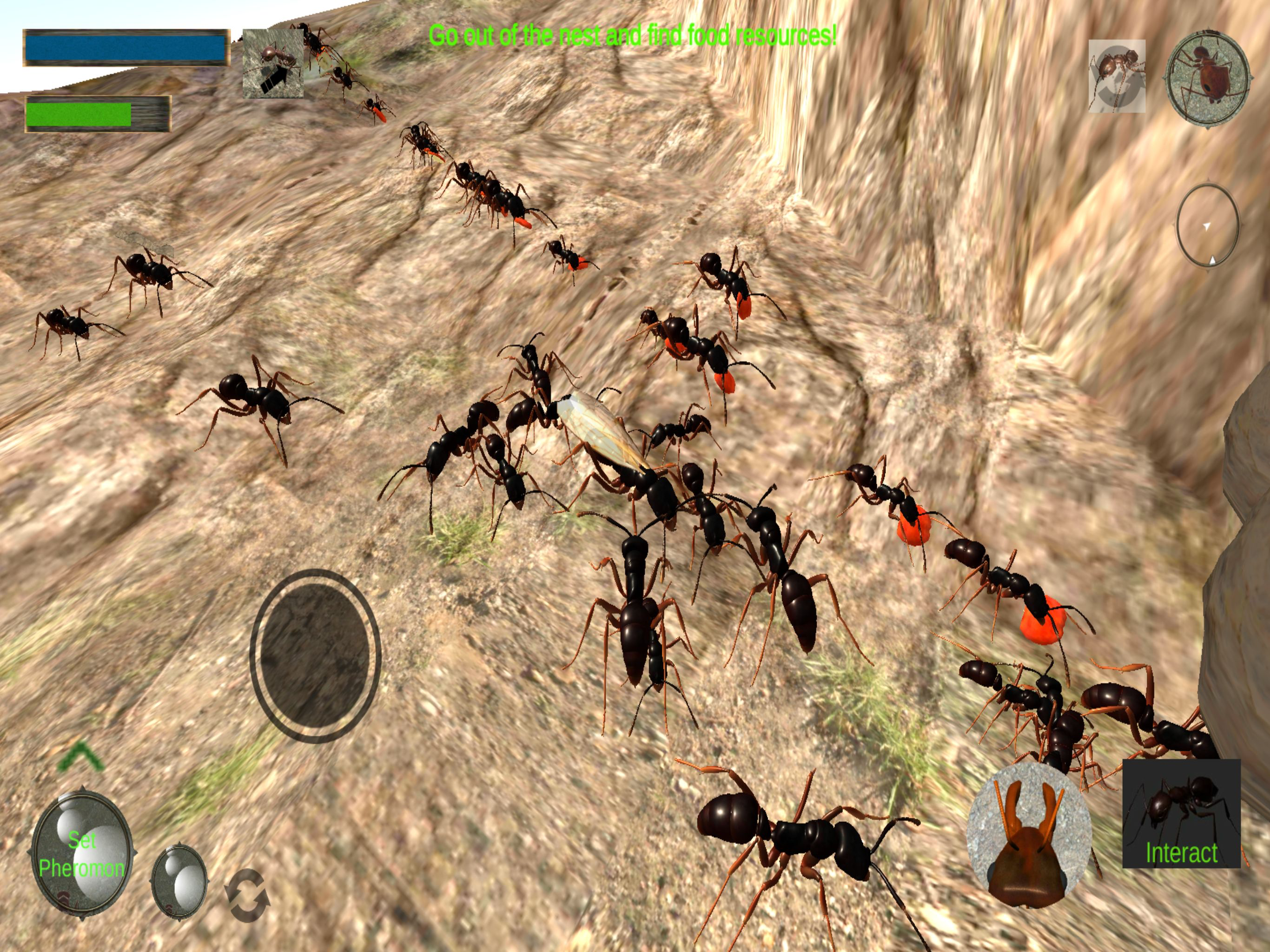 Ant Simulation 3D screenshot 14
