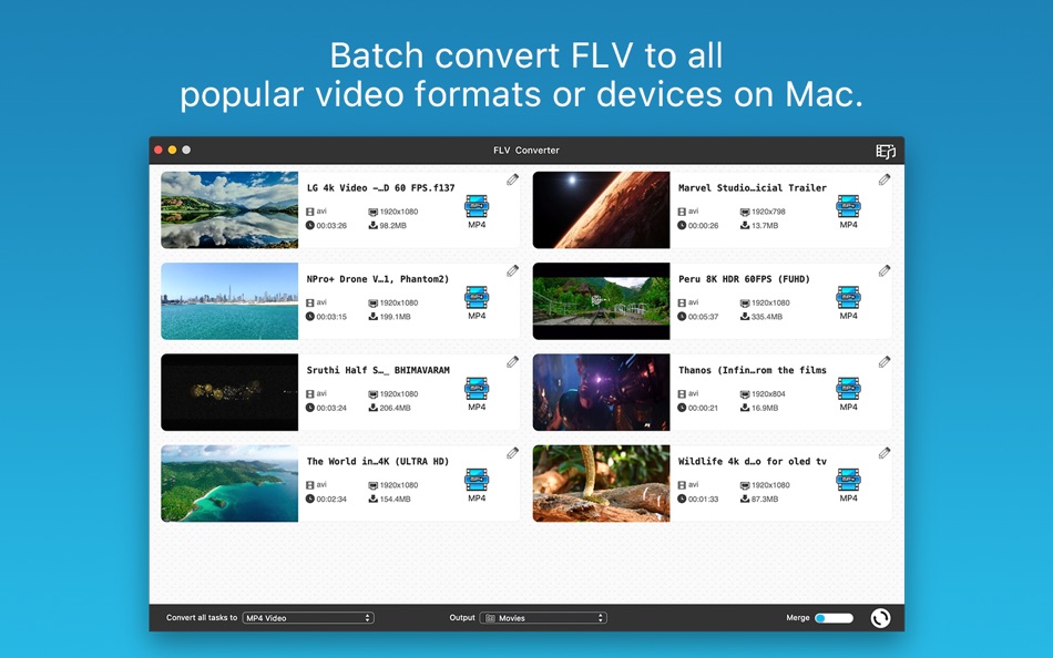 FLV Converter - 6.2.0 - (macOS)