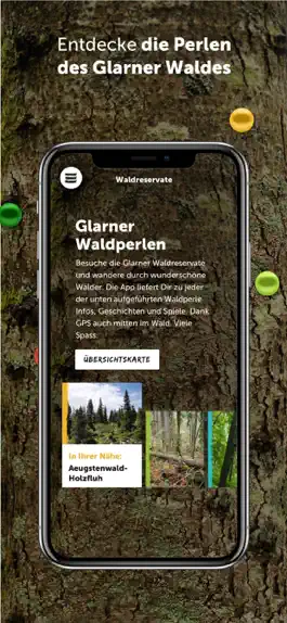 Game screenshot Glarner Waldperlen hack
