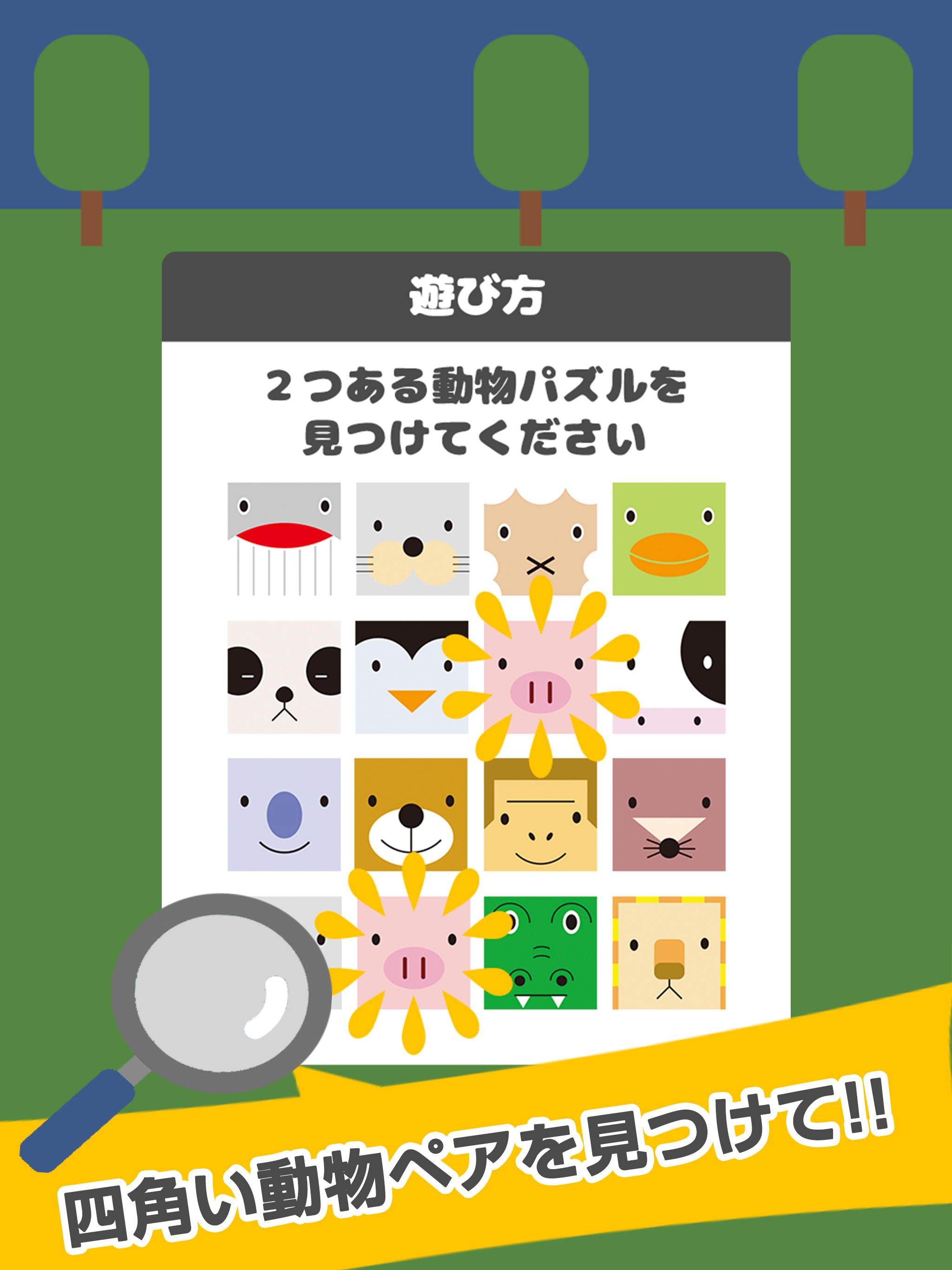 四角い動物