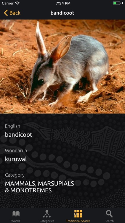 Wonnarua screenshot-5