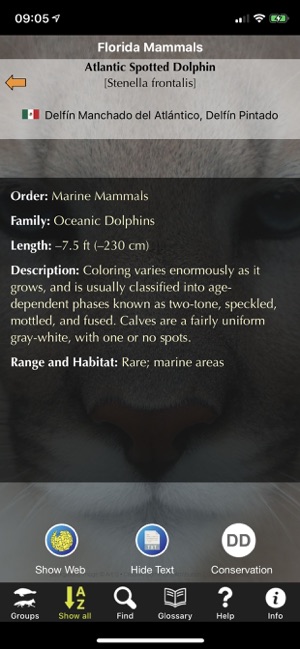 Florida Mammals(圖2)-速報App