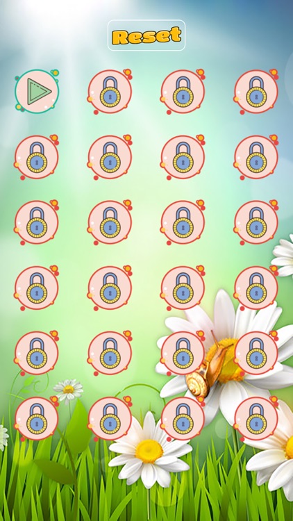 Chamomile arithmetic