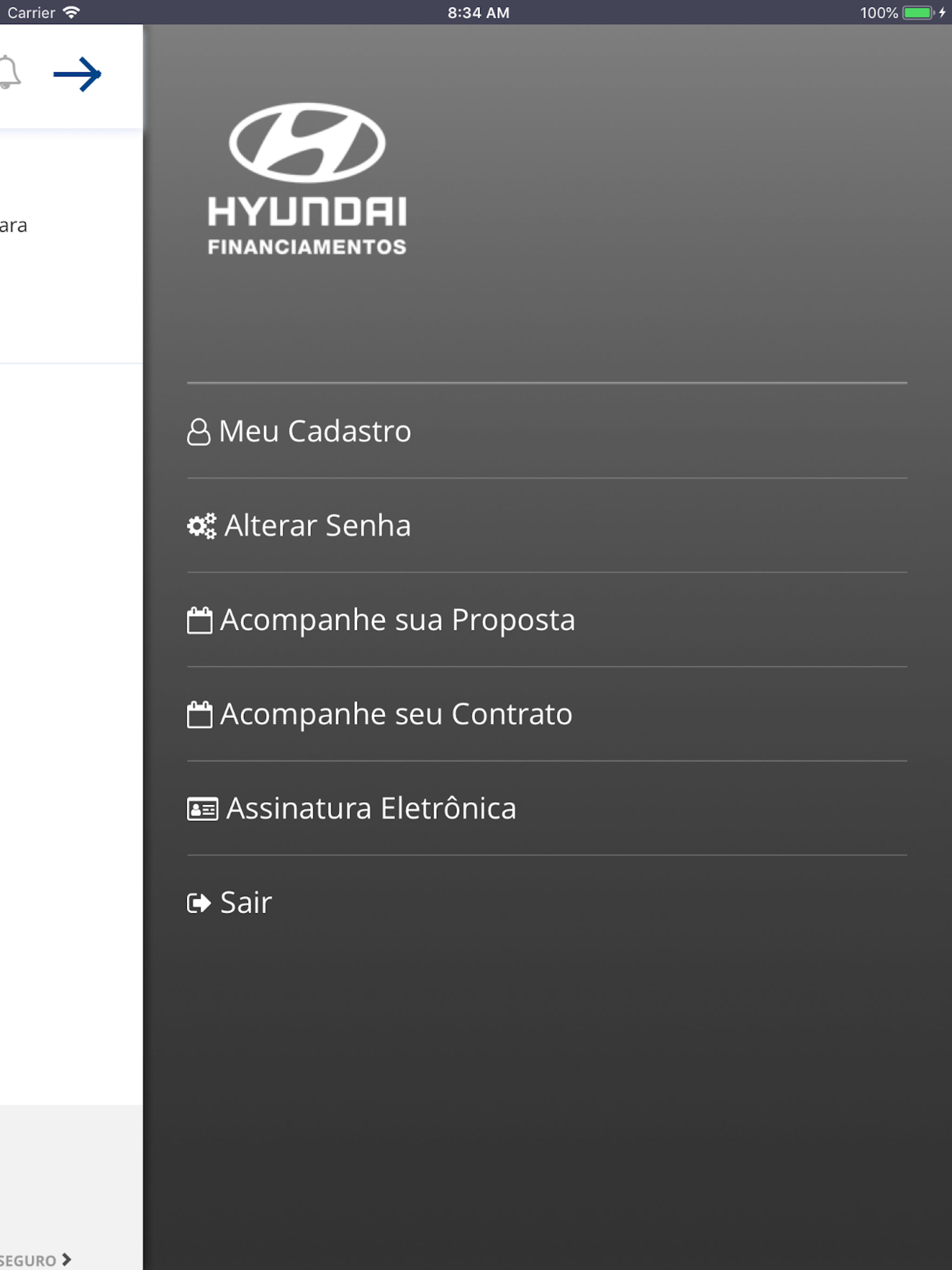 Hyundai Financiamentos