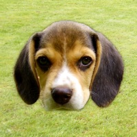Bark - Dog Sounds pour PC