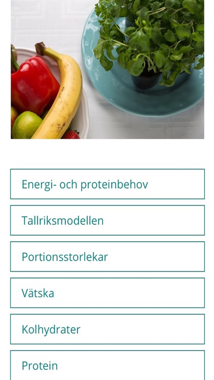Nollvision Undernäring