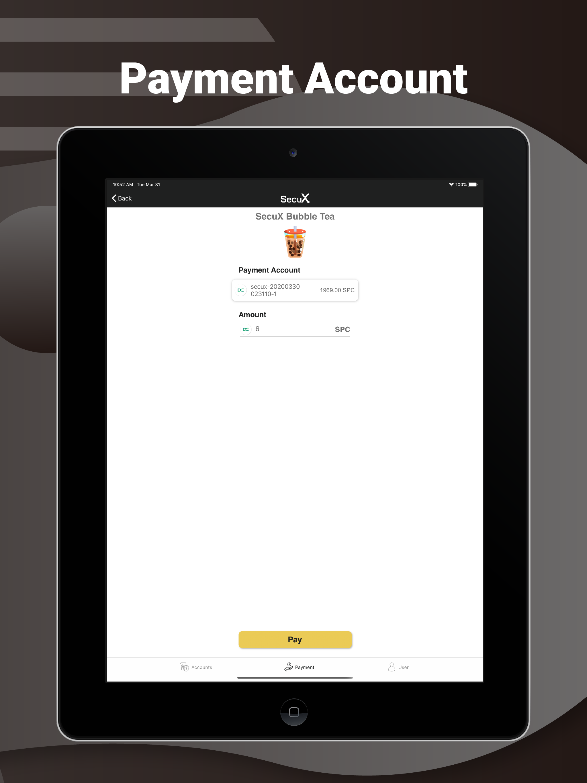 SecuX EvPay