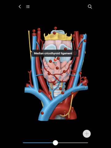 MedImaging-Radiology Made Easyのおすすめ画像2