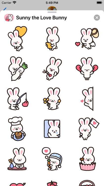 Sunny the Love Bunny