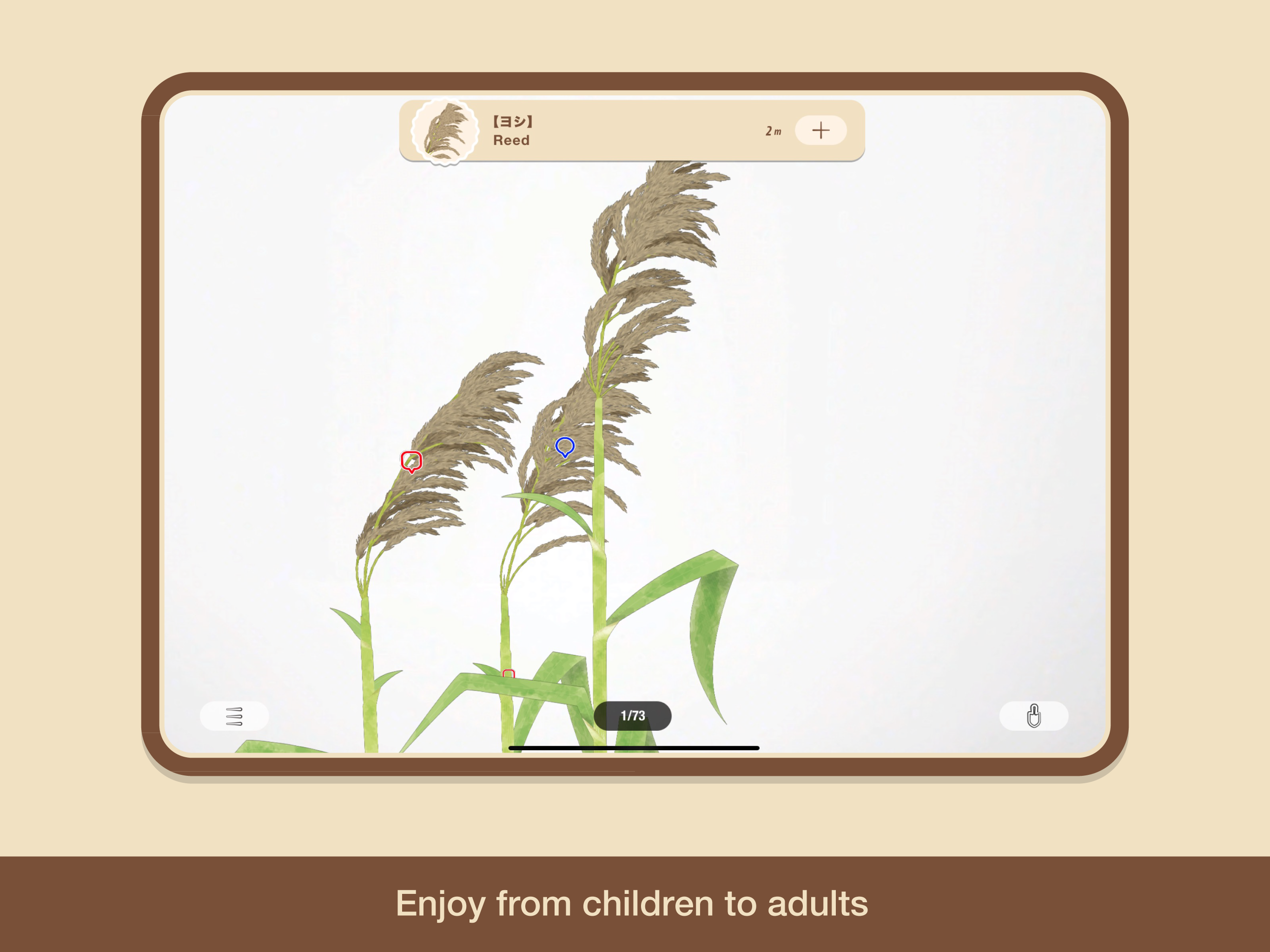"SOIL"