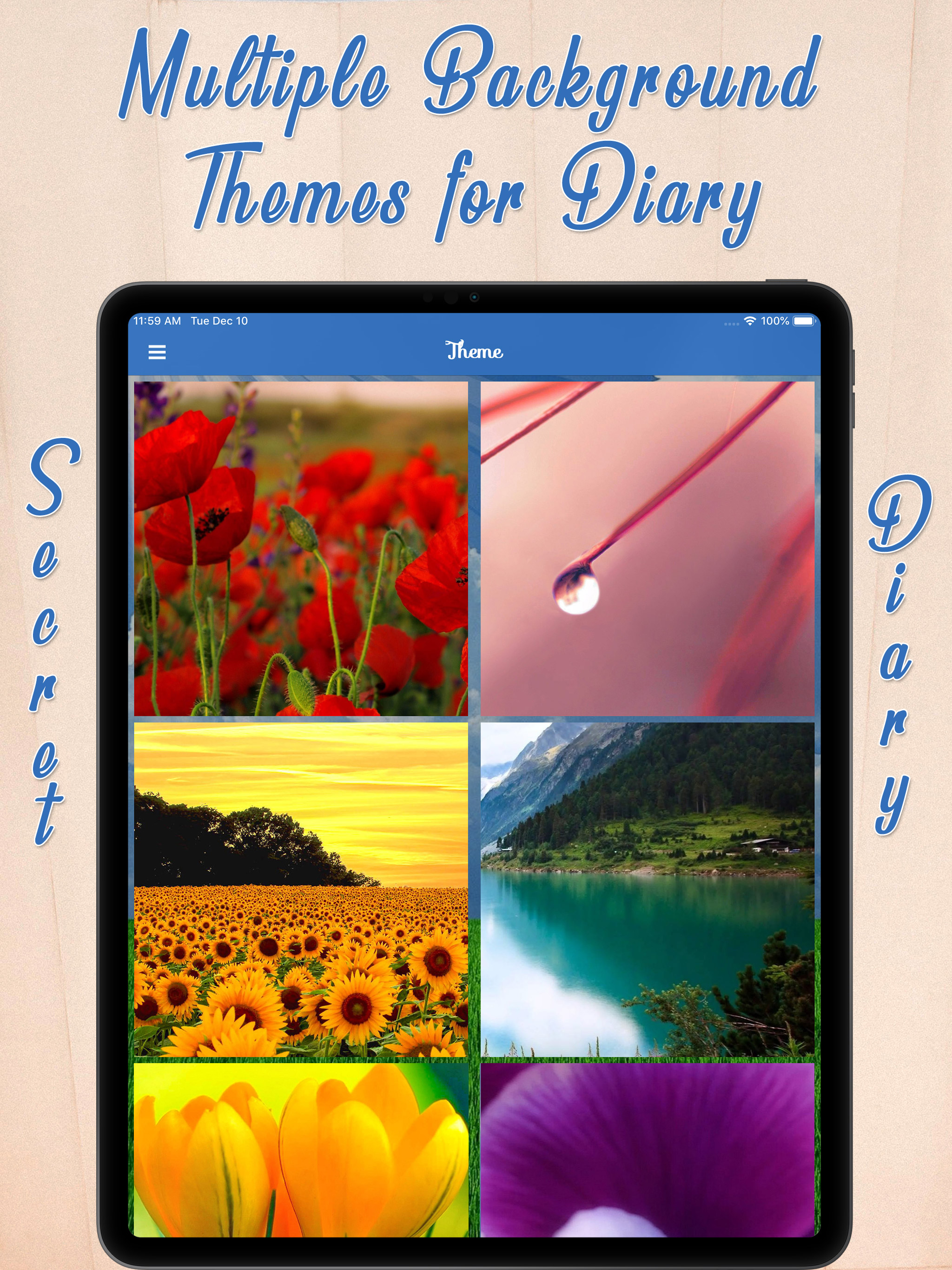 My Password Secret Diary screenshot 12