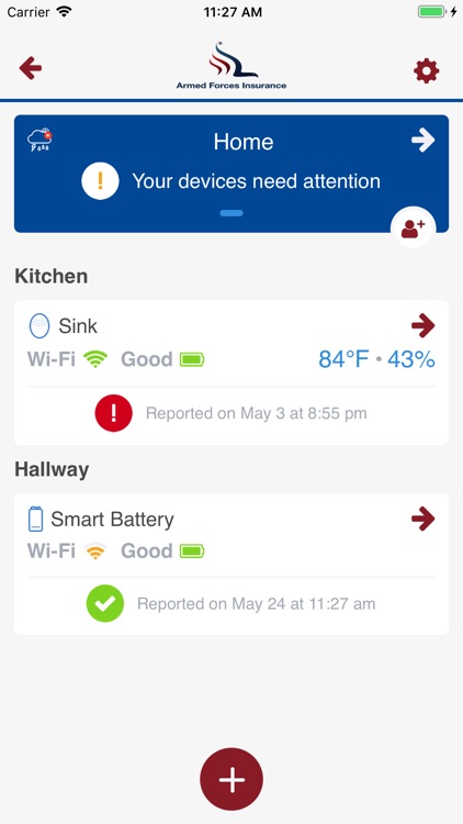 Armed Forces Ins Protect
