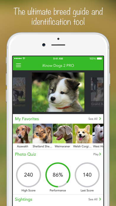 iKnow Dogs 2 PRO Screenshot