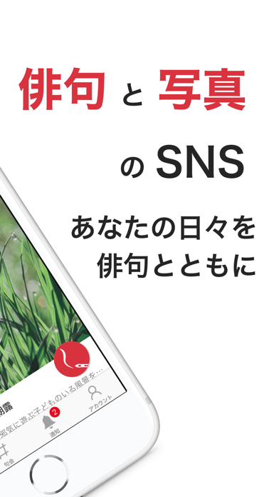 ニシキゴイ - 俳句と写真のSNS screenshot 2