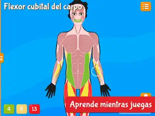 Screenshot 2 Anatomix iphone