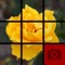 Picture Tile Slider Pro is a really cool tile-sliding puzzle game, based on the 15-puzzle (or n-puzzle) game, with a ton of features