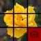 Picture Tile Slider Pro