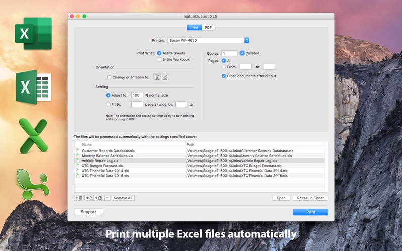 Screenshot #2 pour BatchOutput XLS for Excel