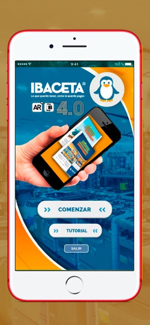 Ibaceta 4.0