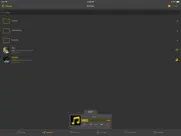 nplayer ipad images 1