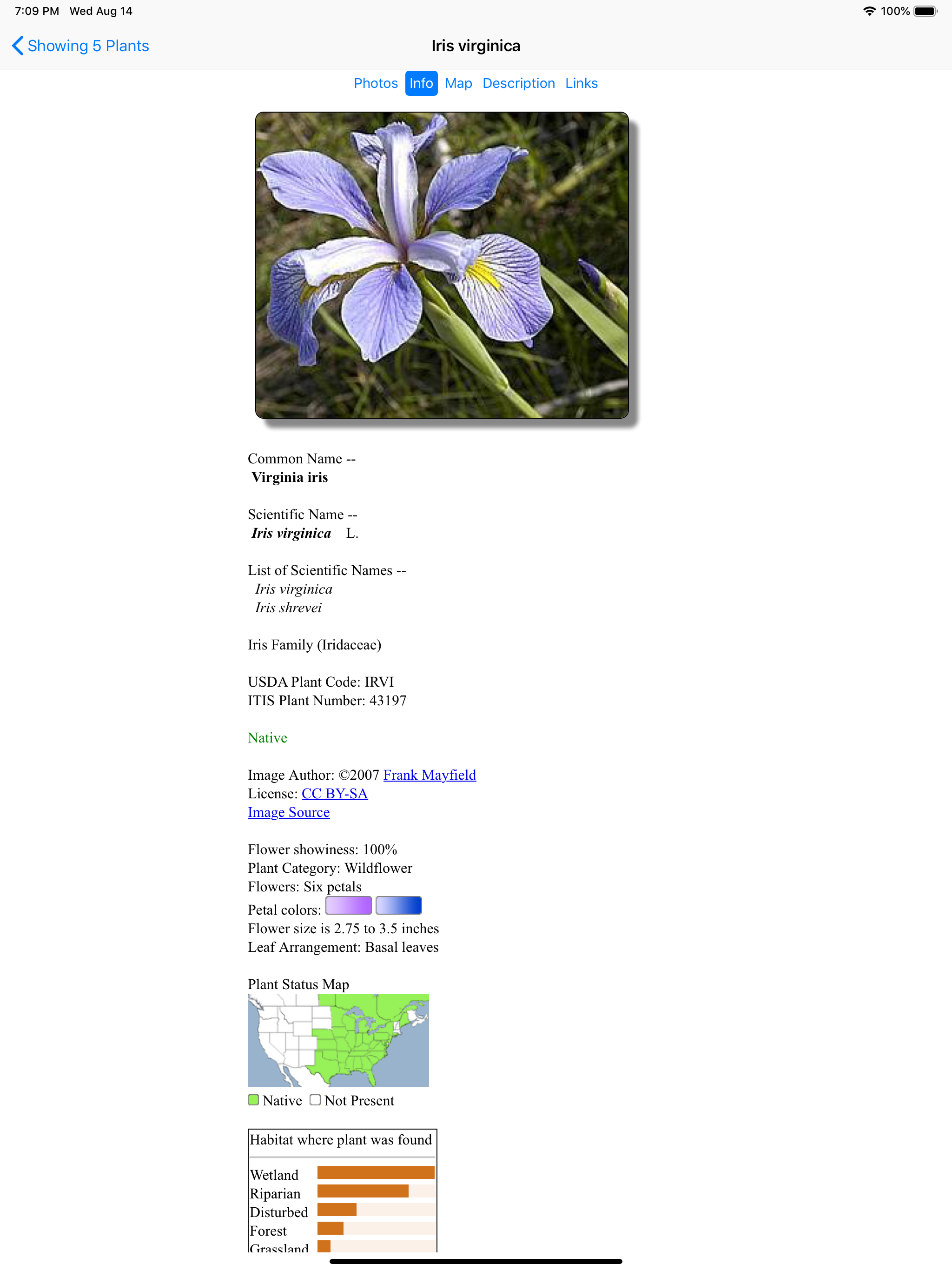 Kansas Wildflowers