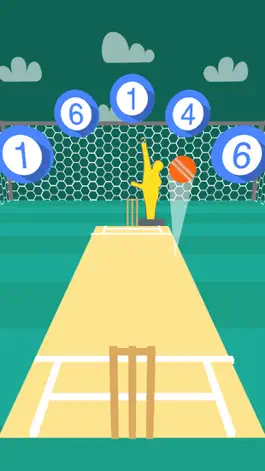 Game screenshot Cricket Practice apk