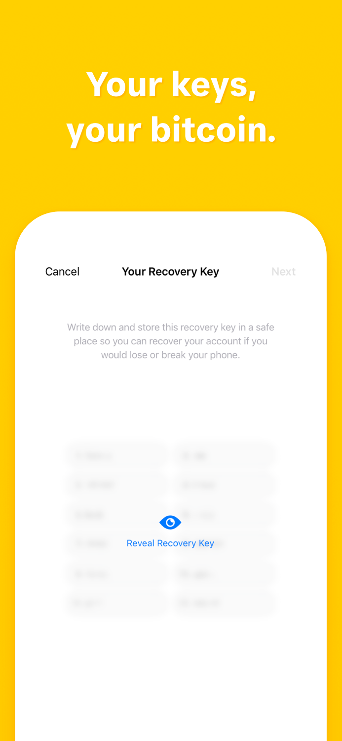 Pine – Bitcoin Wallet