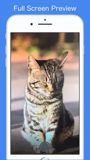 first camera iphone resimleri 2