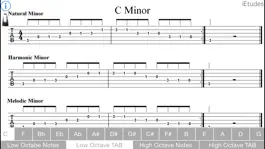 Game screenshot Minor Scales Guitar apk