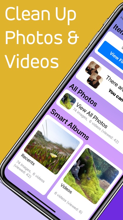 Media Cleaner & Organizer