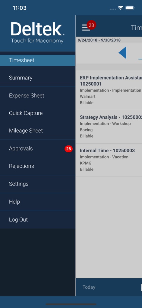 Deltek Touch for Maconomy - Business App | MWM
