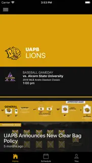 uapb golden lions problems & solutions and troubleshooting guide - 2