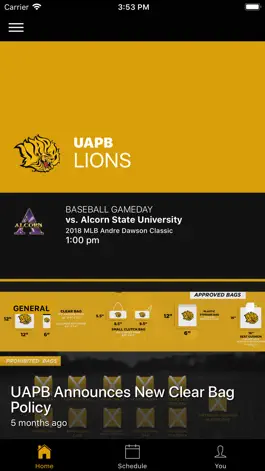 Game screenshot UAPB Golden Lions mod apk